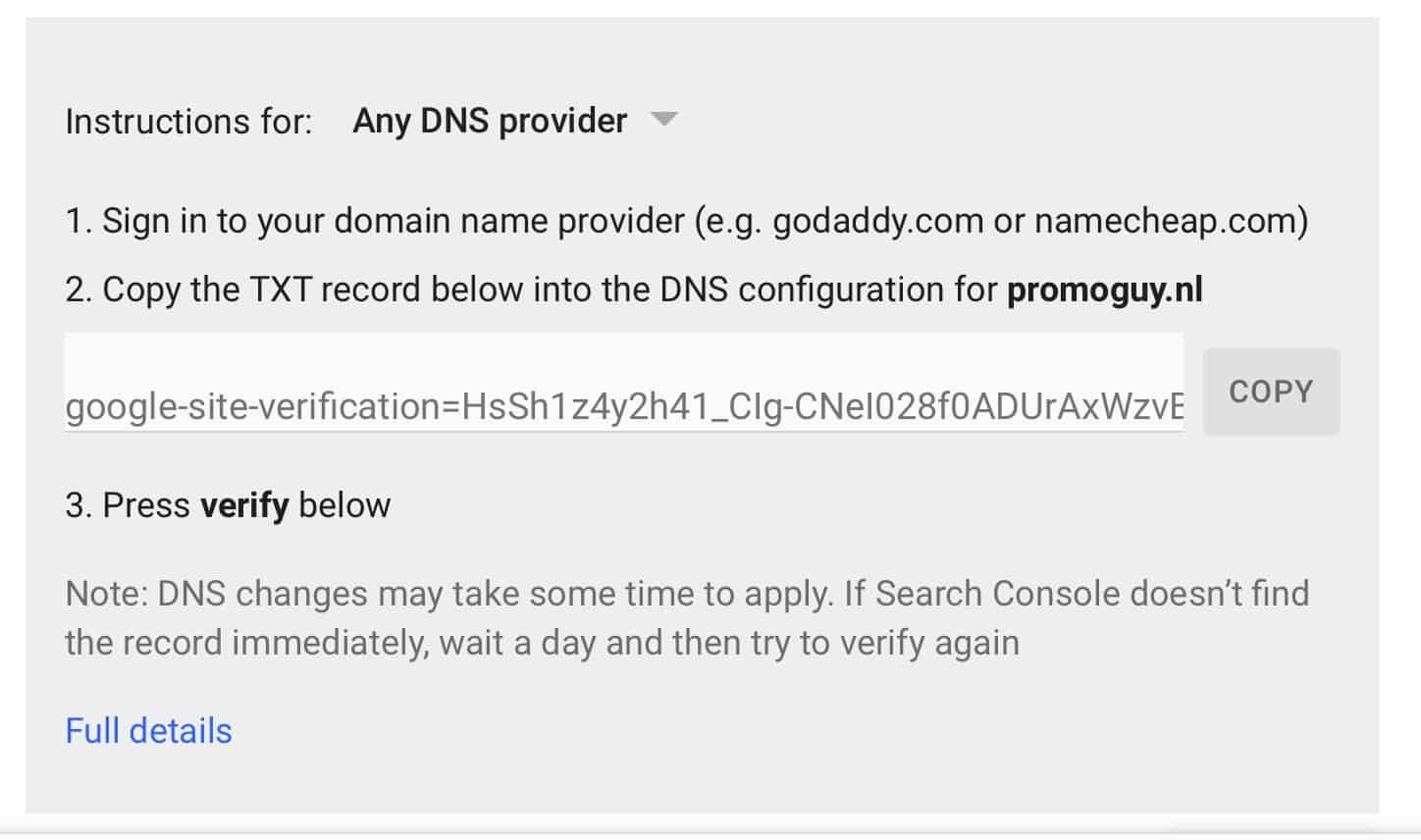 Google Search Console DNS
