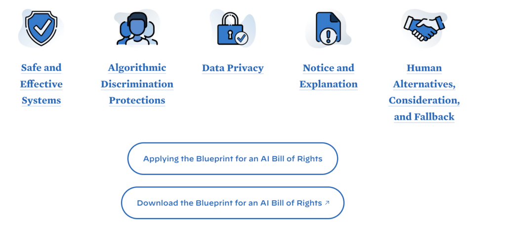 AI bill of rights